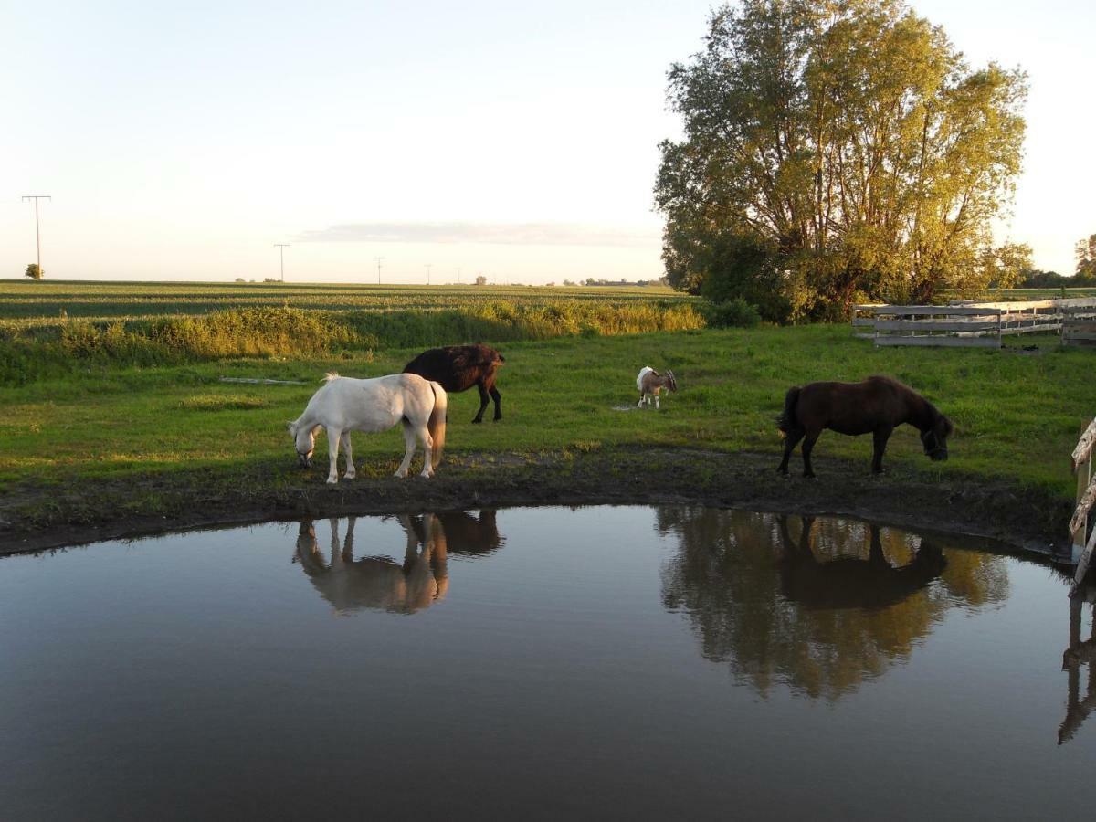 Horse Lake Ranch Neuendorf  Екстериор снимка
